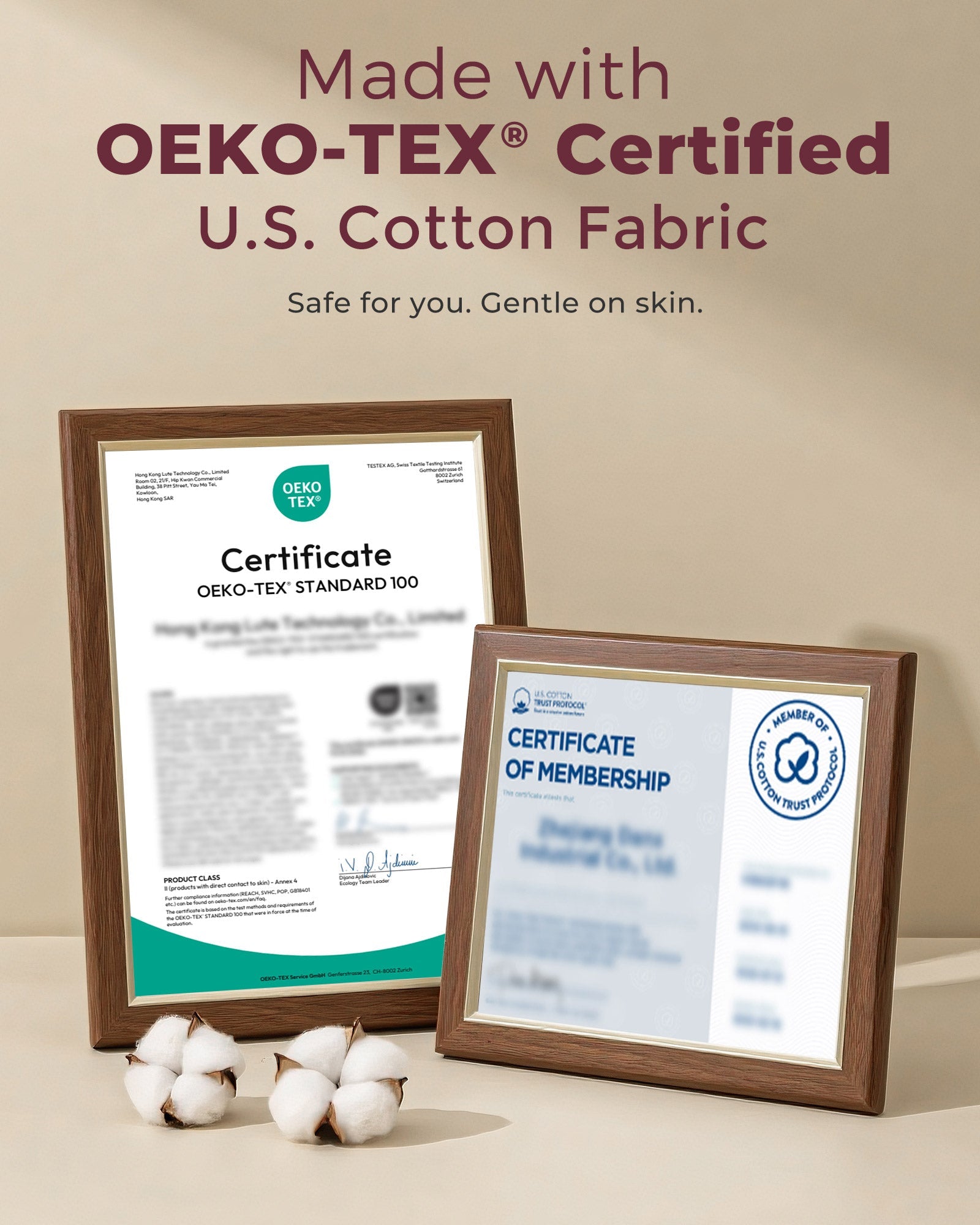 Seamless U.S. Cotton Busty Everyday Bras