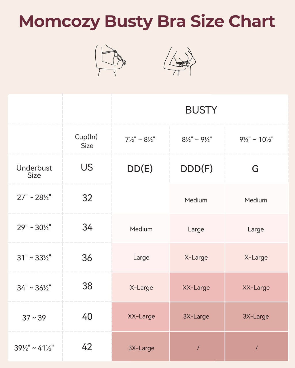 Seamless U.S. Cotton Busty Everyday Bras